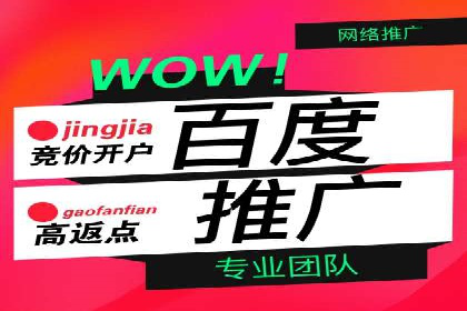 SEM公司广告策略案例：如何实现ROI最大化